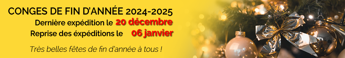 Congés de fin d'année 2024